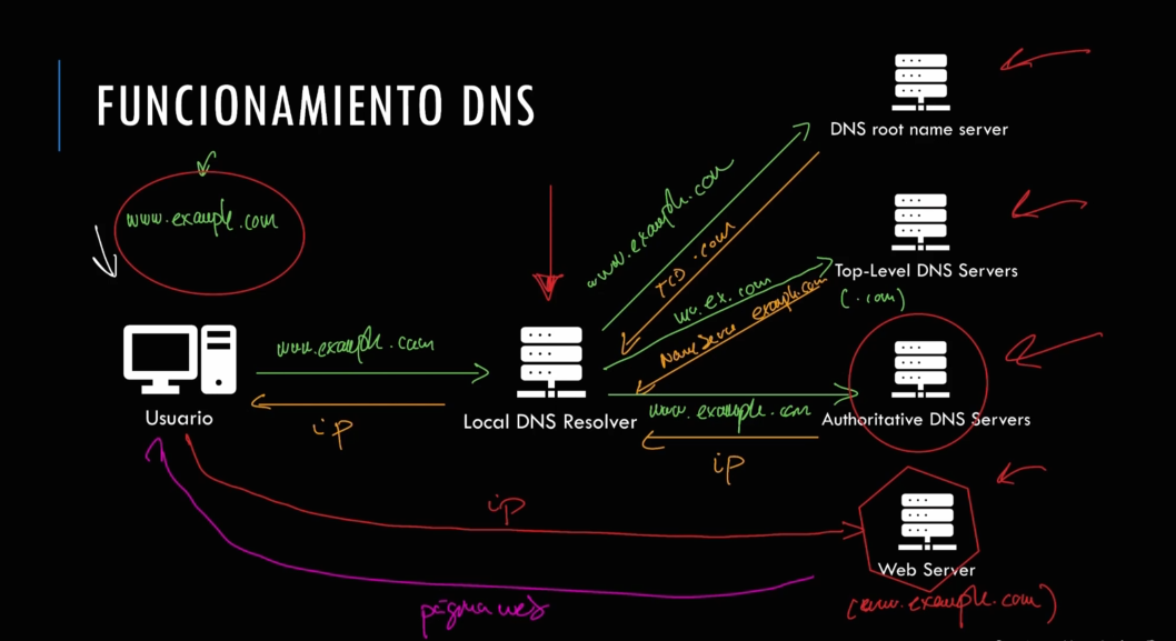 Grafico