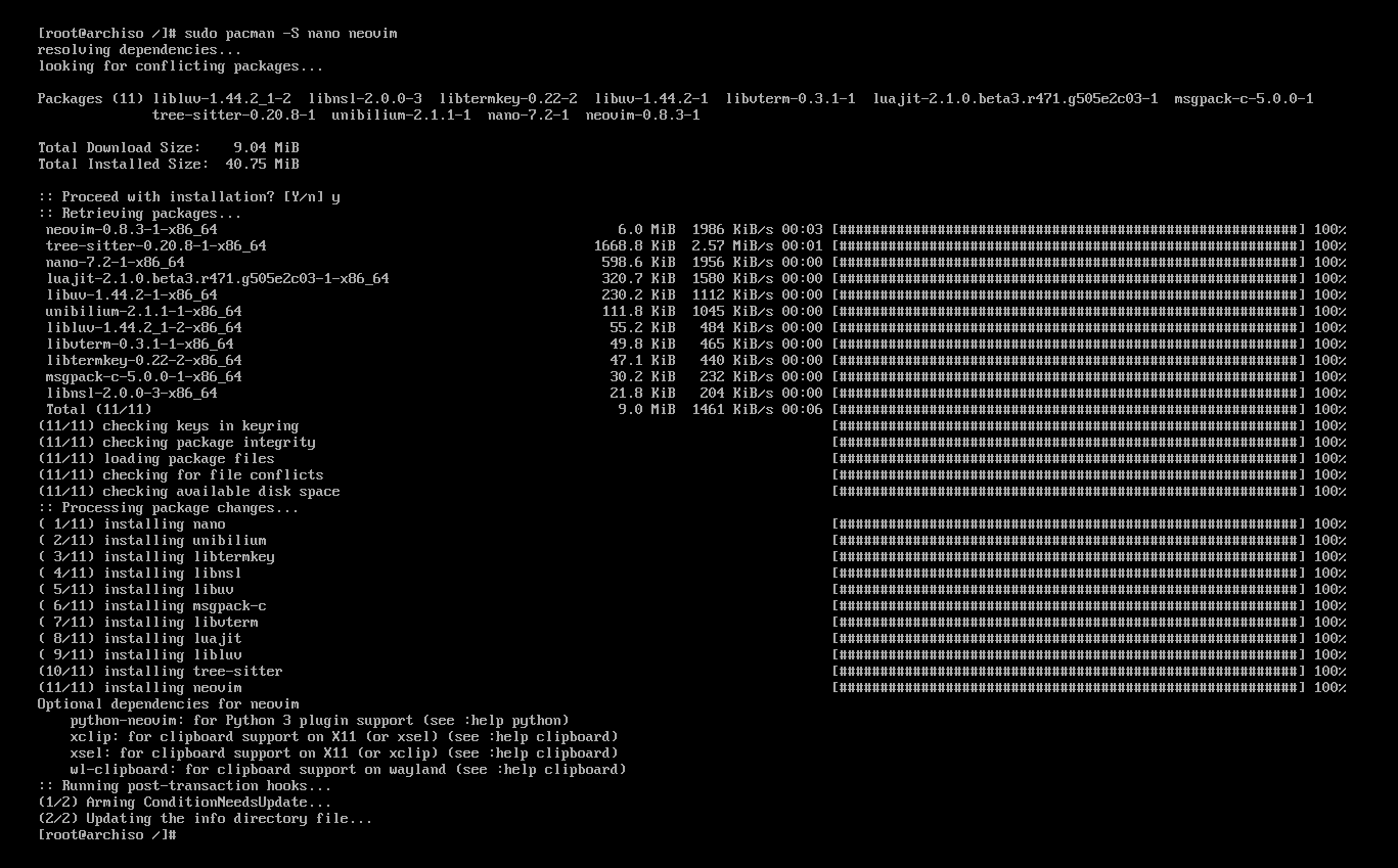 nano vim install